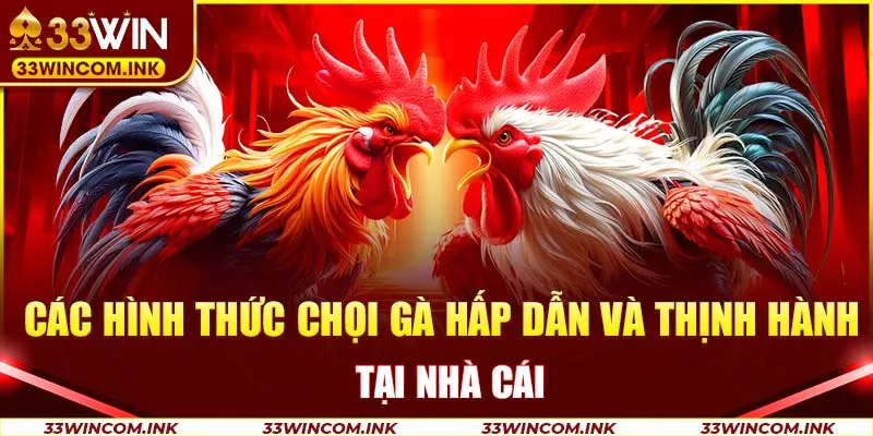 Các hình thức chọi gà hấp dẫn và thịnh hành tại nhà cái