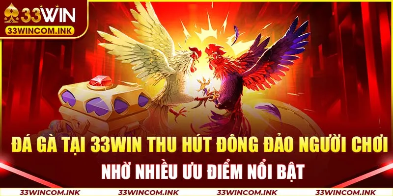 Đá gà tại 33Win thu hút đông đảo người chơi nhờ nhiều ưu điểm nổi bật